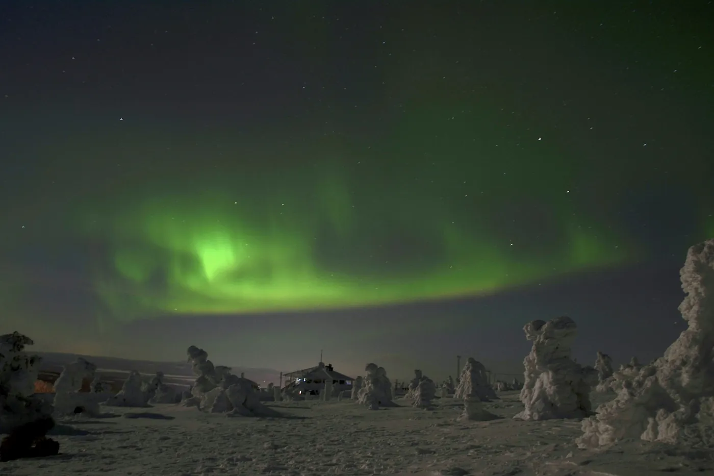 Aurores boréales vertes au-dessus d’un fjeld enneigé, avec des arbres couverts de neige et un petit bâtiment à l’arrière-plan