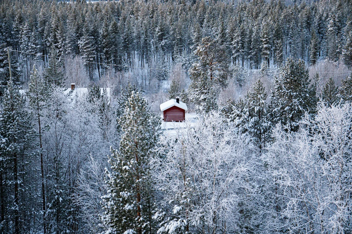 A small red hut between frost-covered conifers