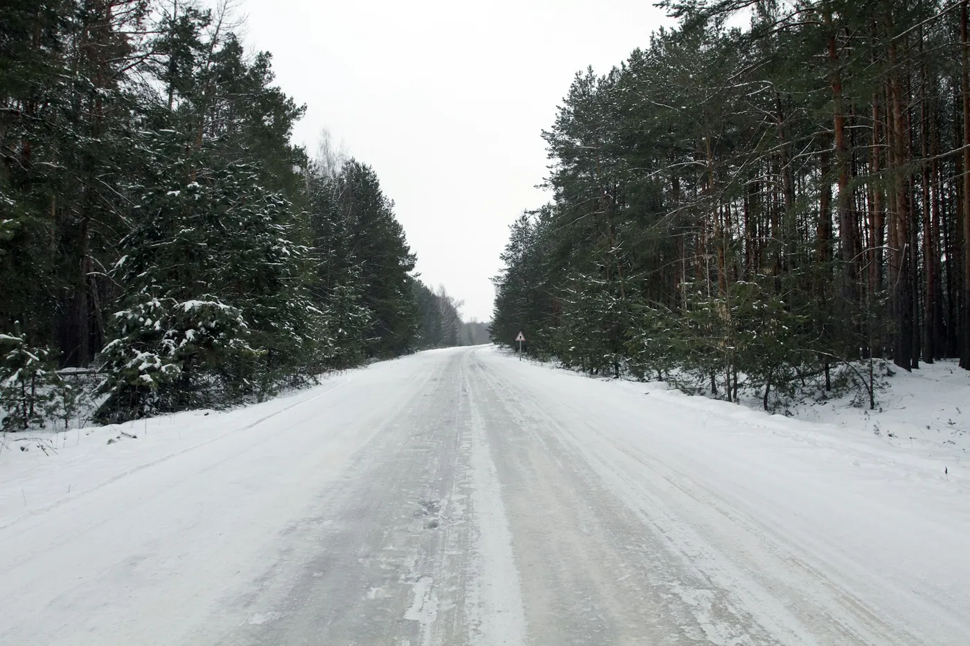 Een besneeuwde weg die door een bos van dennen en sparren loopt