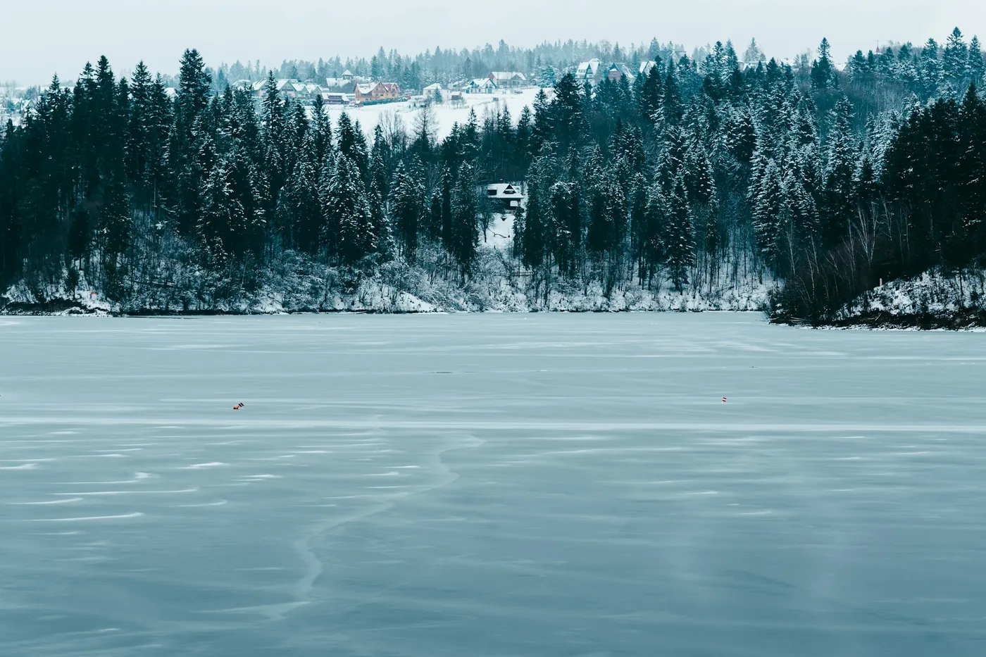 Frozen lake in front of a forested, snow-covered shore