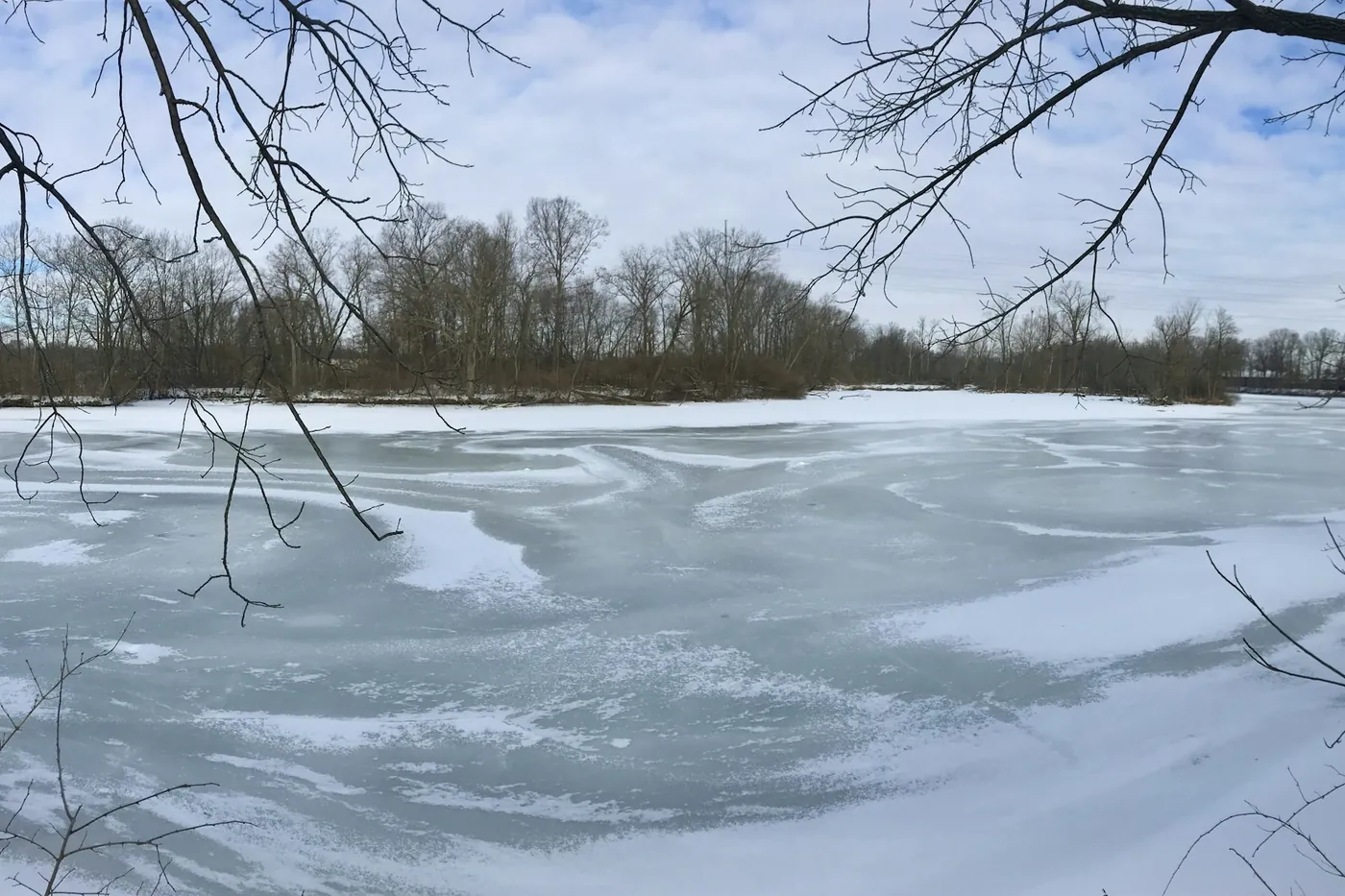 Eau gelée sous la neige, avec des arbres dénudés sur la rive et des branches au premier plan