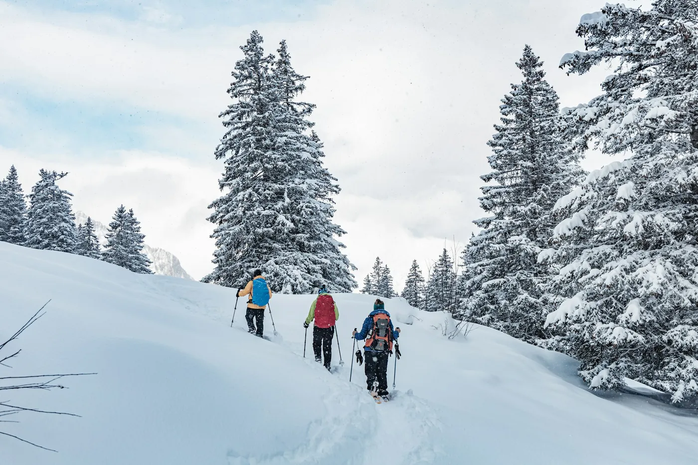 Tre escursionisti con i bastoncini che si allontanano nella neve alta tra abeti carichi di neve